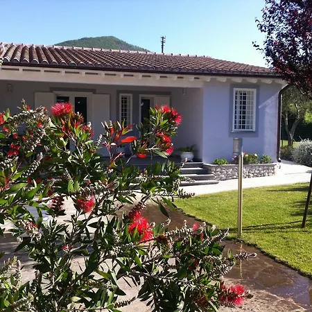 Skipper White Trevignano Romano